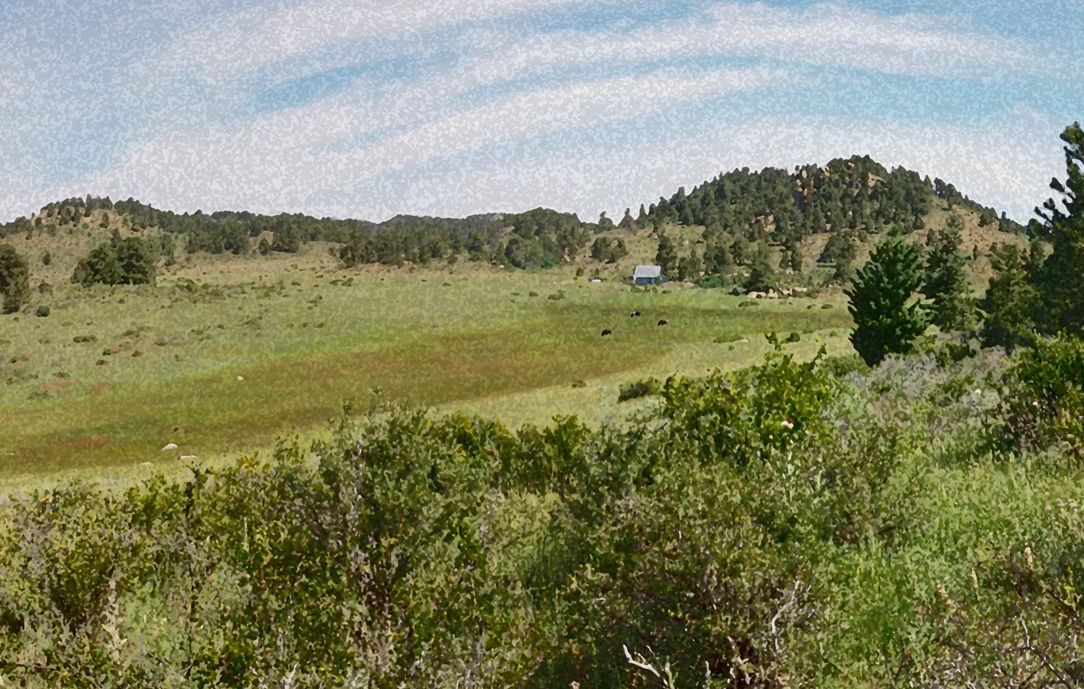 Lucky Stars Observatory Retreat meadow